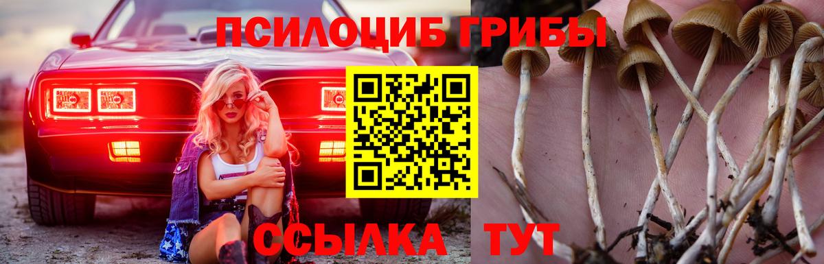 хочу   Вход с VPN  Кузнецк  Псилоцибиновые грибы мухоморы 